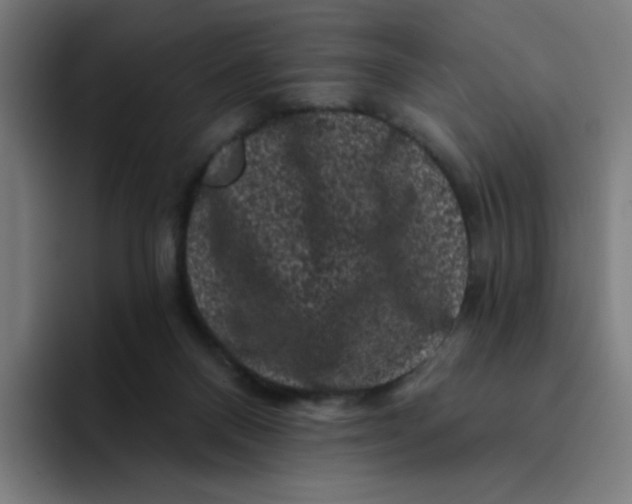 X0000094190120200711161756