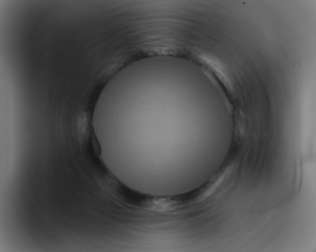 X0000094190121200711161756