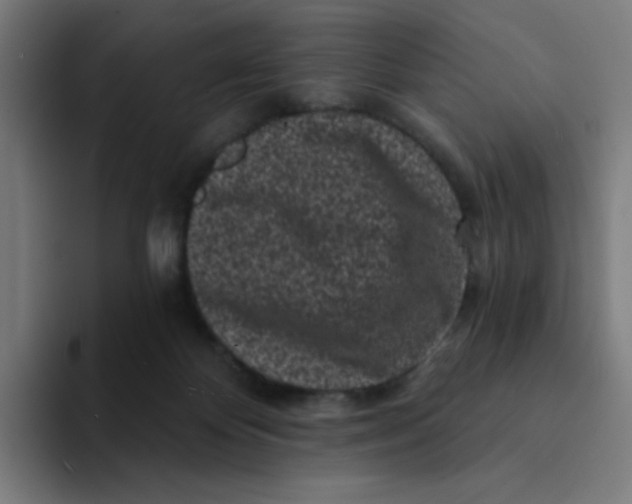 X0000094190124200711161756