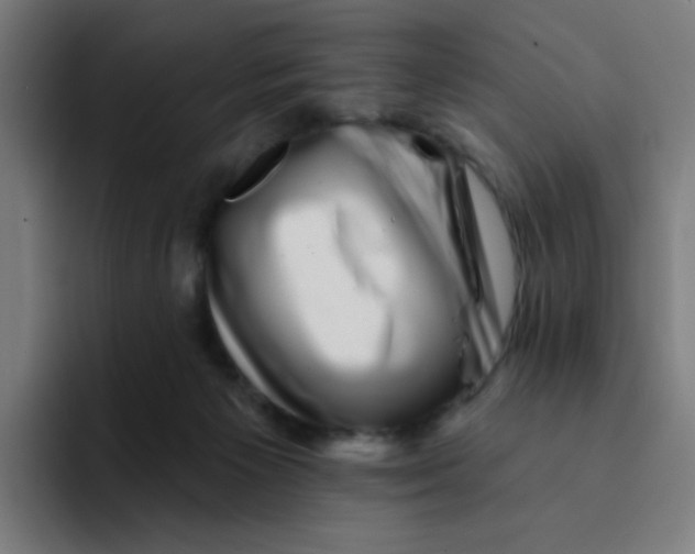 X0000094190125200711161756