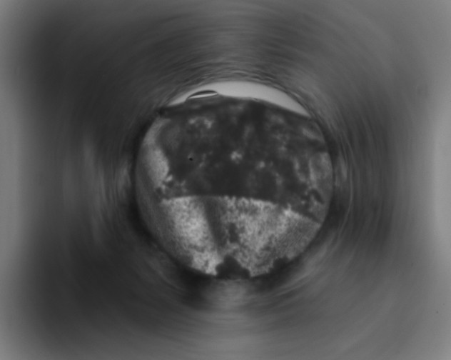 X0000094190127200711161756