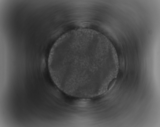 X0000094190128200711161756