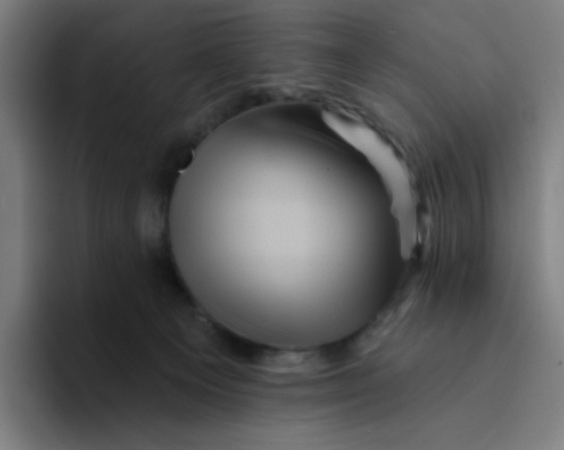 X0000094190129200711161756