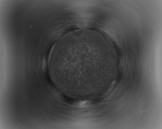 X0000094190130200711161756