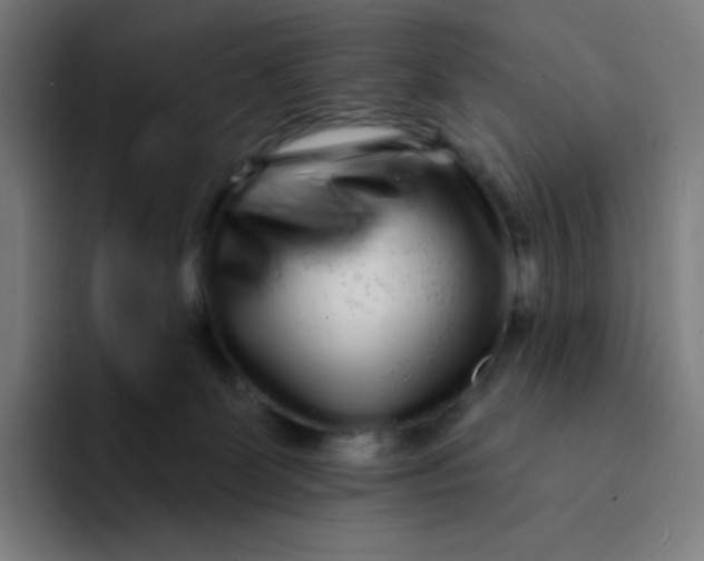 X0000094190131200711161756