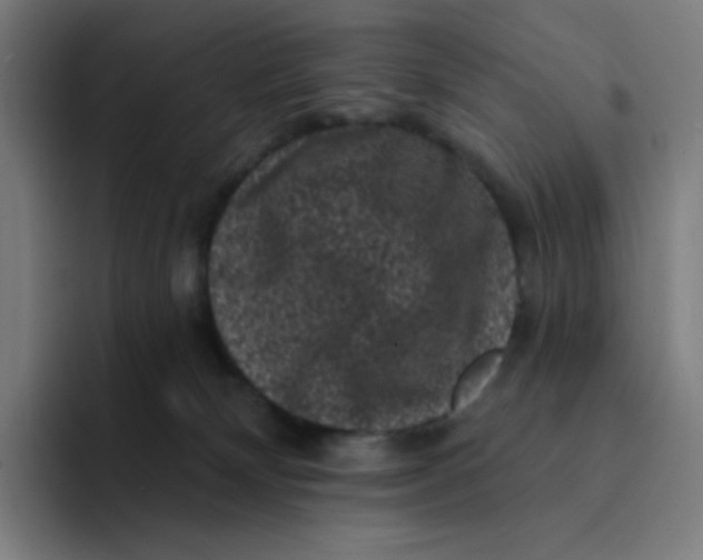 X0000094190132200711161756