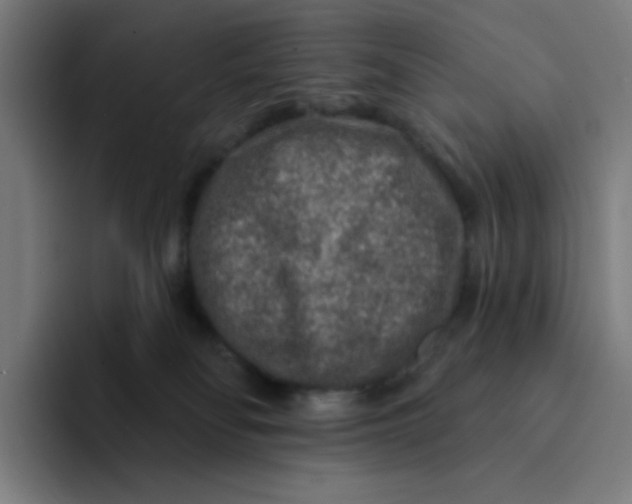 X0000094190134200711161756