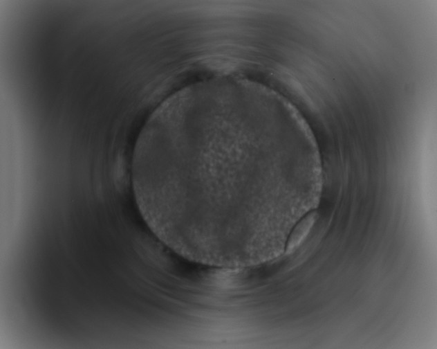 X0000094190136200711161756