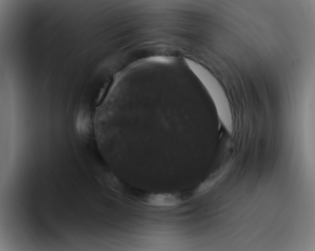 X0000094190137200711161756