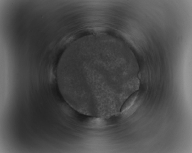 X0000094190140200711161756