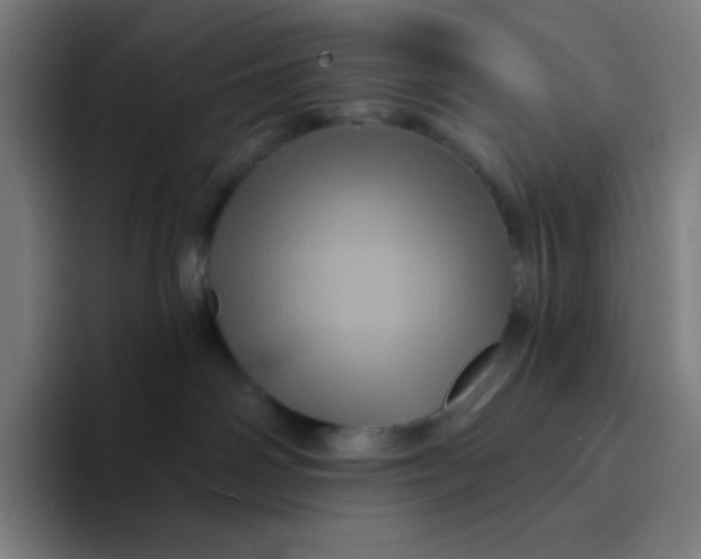 X0000094190142200711161756