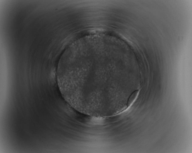 X0000094190144200711161755