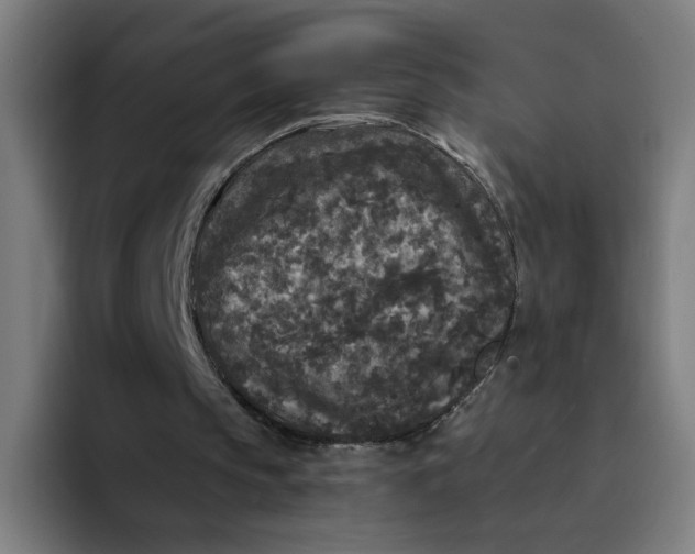 X0000094190145200711161755