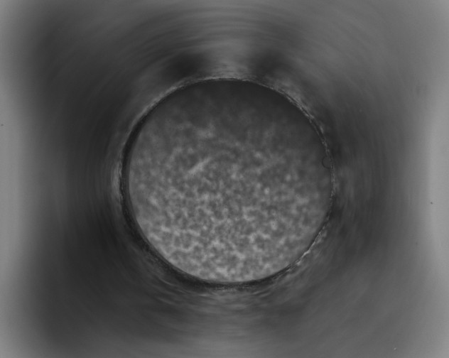 X0000094190146200711161755