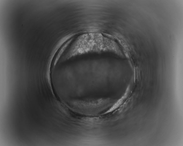 X0000094190147200711161755