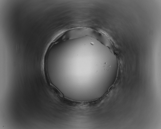 X0000094190148200711161755