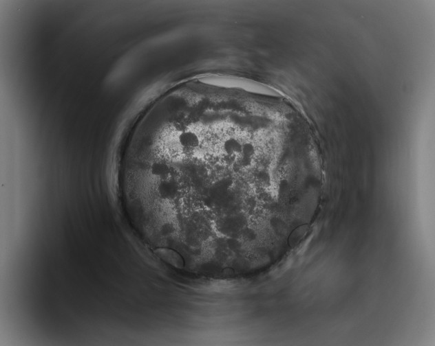 X0000094190149200711161755