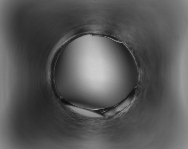 X0000094190150200711161755