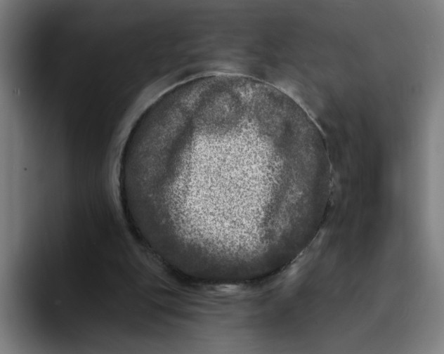 X0000094190151200711161755