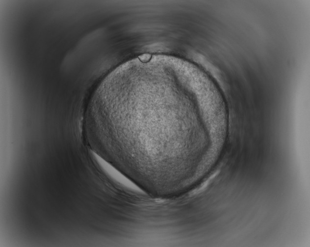 X0000094190153200711161755