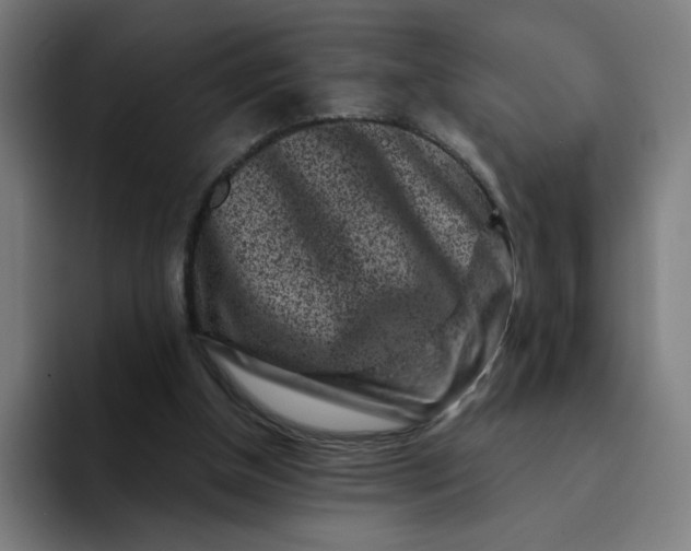 X0000094190154200711161755