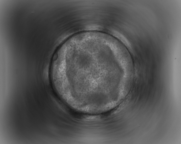 X0000094190155200711161755