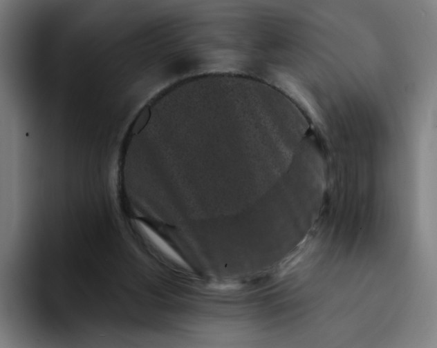 X0000094190156200711161755