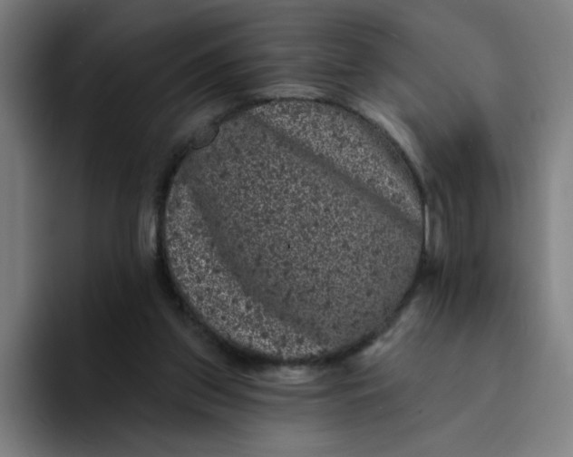 X0000094190157200711161755