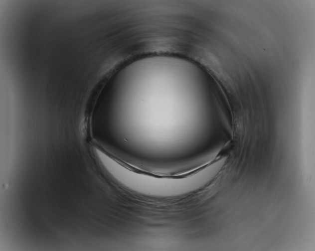 X0000094190160200711161755