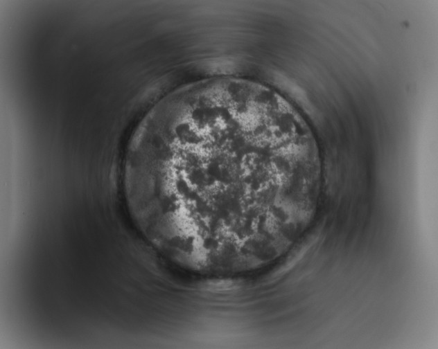 X0000094190161200711161755