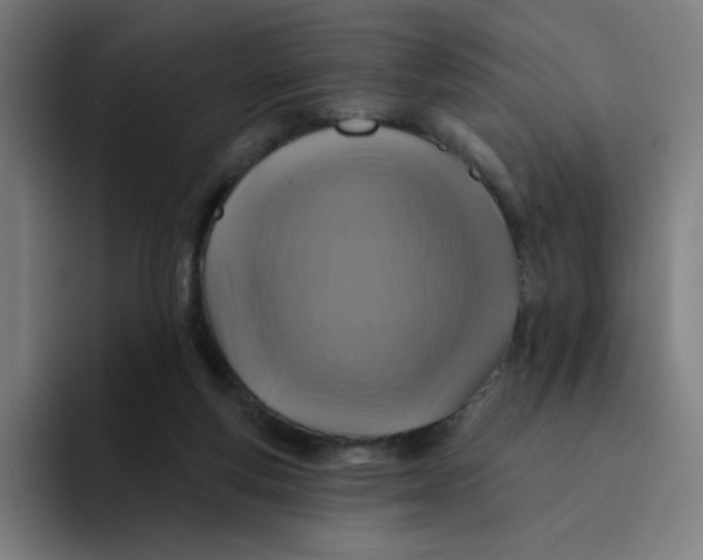 X0000094190163200711161755