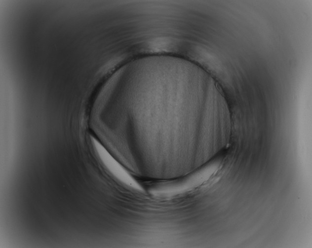 X0000094190164200711161755