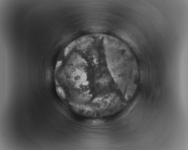 X0000094190165200711161755