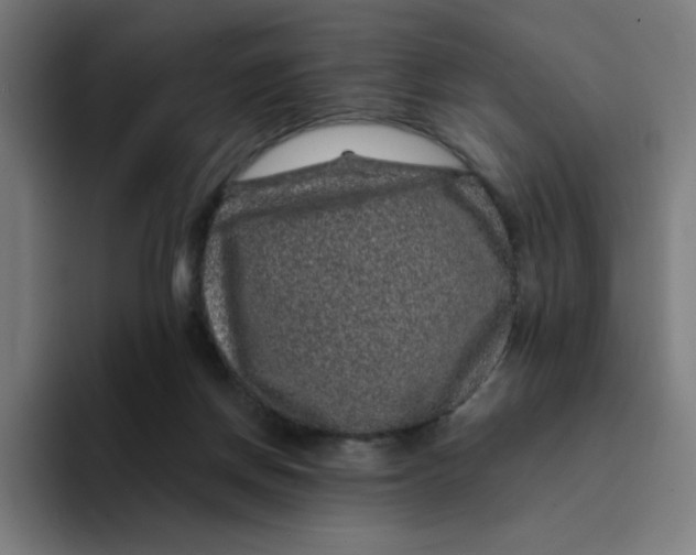 X0000094190166200711161755