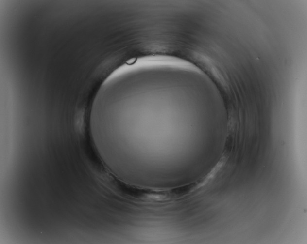 X0000094190167200711161755