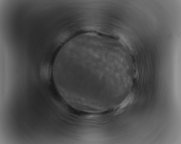 X0000094190168200711161755