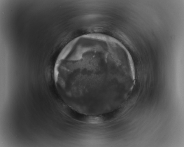 X0000094190169200711161755