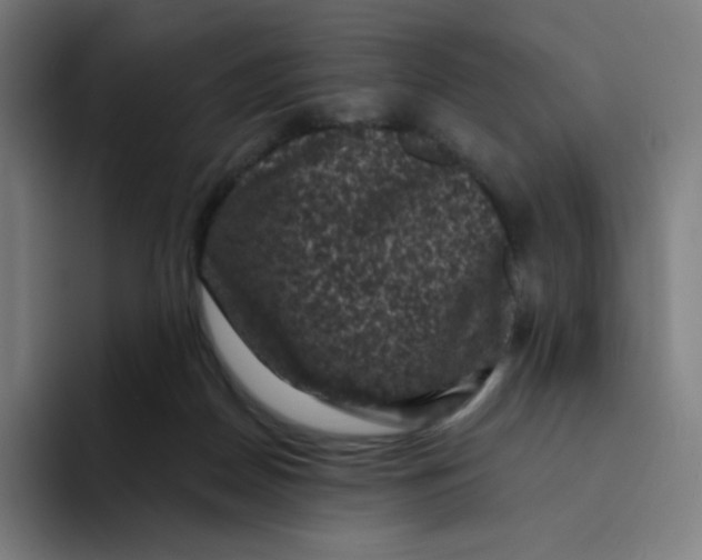 X0000094190170200711161755