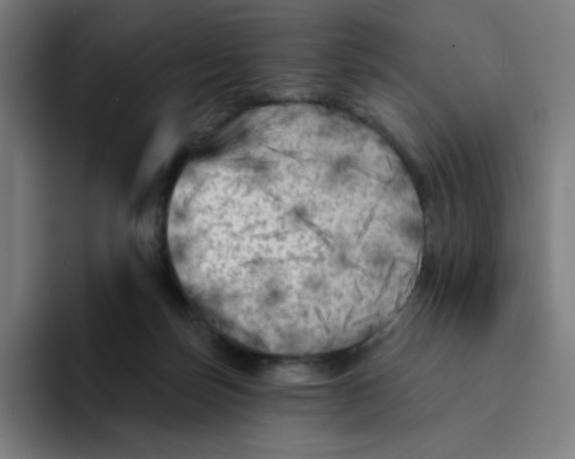 X0000094190171200711161755