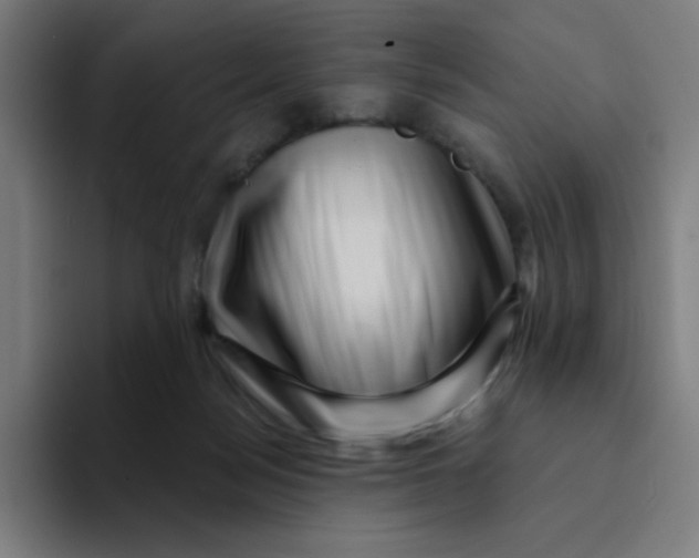 X0000094190172200711161755