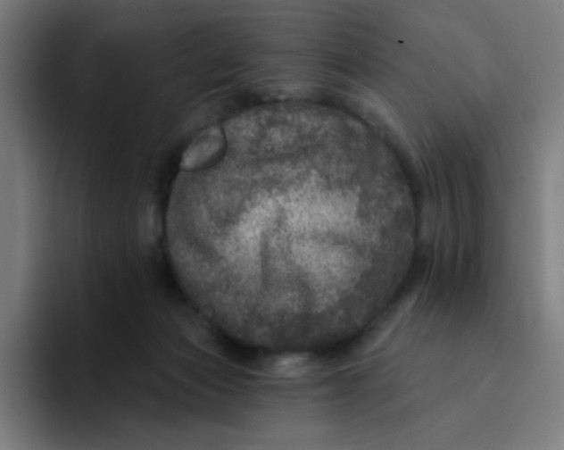 X0000094190173200711161755