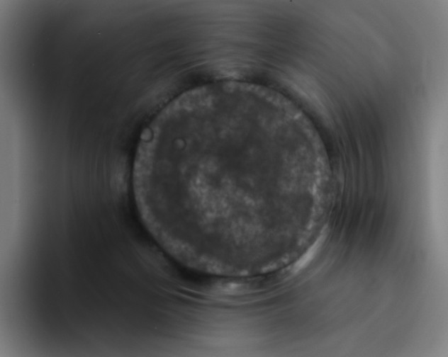 X0000094190174200711161755