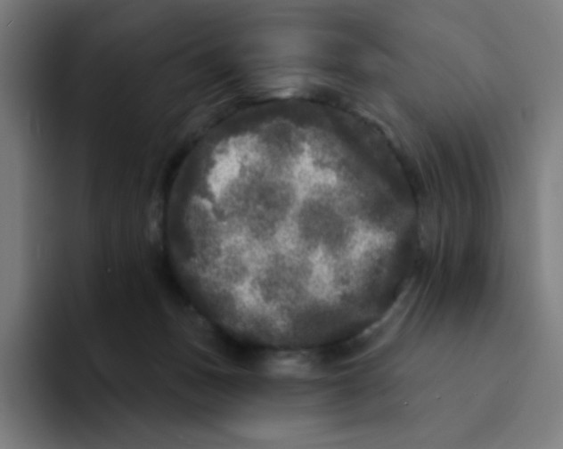 X0000094190175200711161755