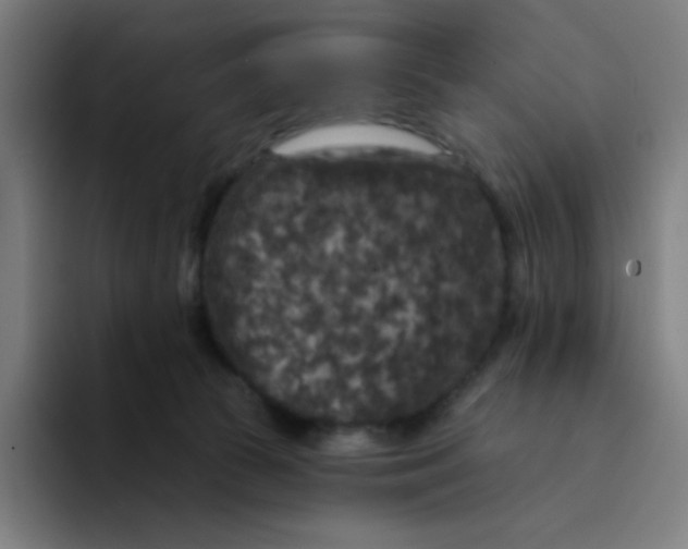 X0000094190177200711161755