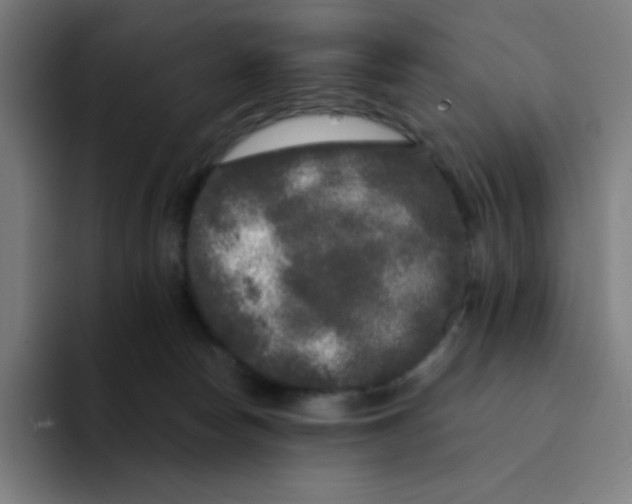 X0000094190178200711161755