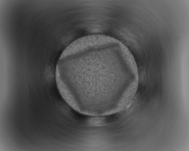 X0000094190179200711161755