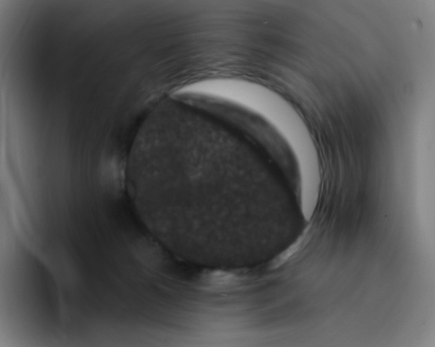 X0000094190180200711161755