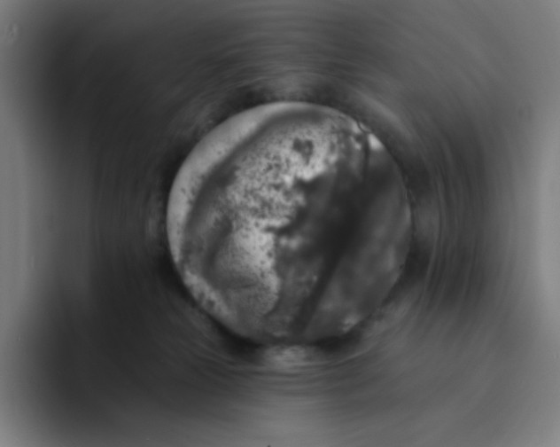 X0000094190181200711161755