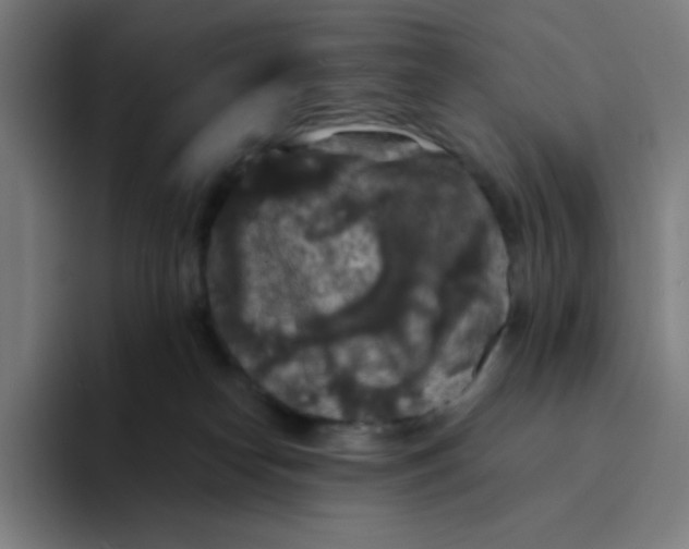 X0000094190182200711161755