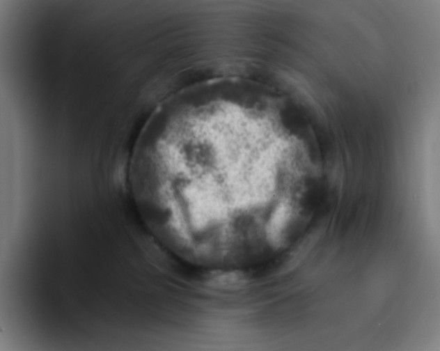 X0000094190185200711161755